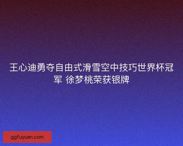王心迪勇夺自由式滑雪空中技巧世界杯冠军 徐梦桃荣获银牌