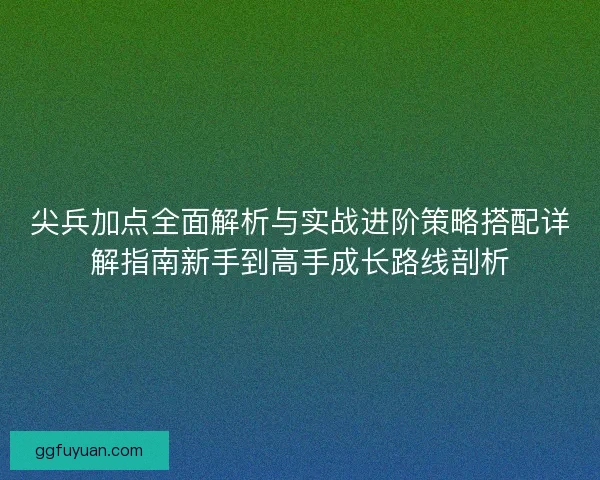尖兵加点全面解析与实战进阶策略搭配详解指南新手到高手成长路线剖析